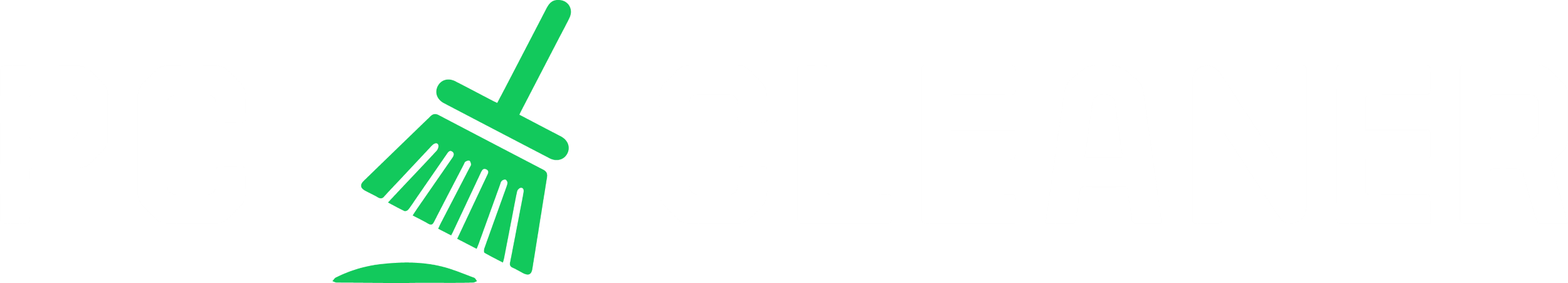 PC Cleaner